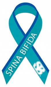 Spina Bifida Association awareness ribbon